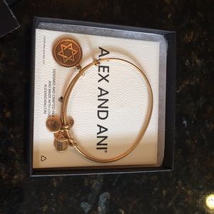 Alex and Ani star of David bracelet